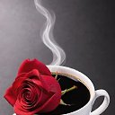 ���� ������, �������� - ��������� 11 �������� 2026 � ������ ������ ��������