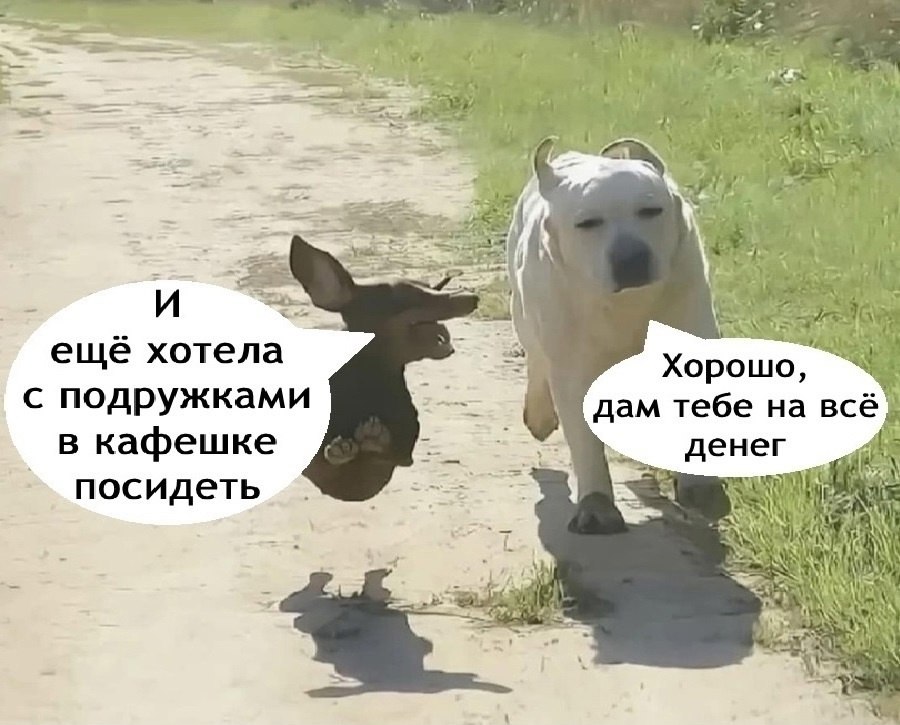   - 6  2025  14:09 - 5