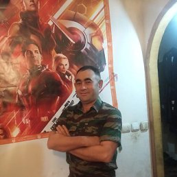 ���� ���, ������, 41 ��� - ��������� 16 ����� 2026