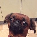 ���� �����, ������ - ��������� 14 ������ 2025 � ������ ������ ��������