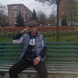 , 61, 
