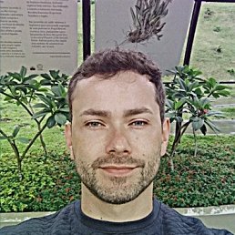 ������, 38 ���, ������