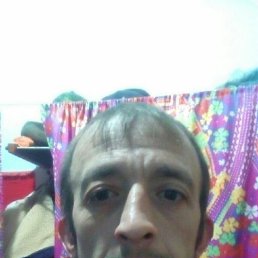 ���� ��������, ���������, 40 ��� - ��������� 29 ������ 2025