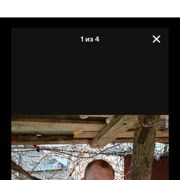 , 37, 