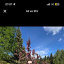 ���� ������, �������, 62 ���� - ��������� 13 ��� 2025 � ������ ���� ����������