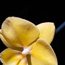 ���� �������, ������ - ��������� 14 ������� 2025 � ������ ���� �������