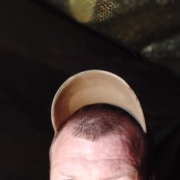 , 37, 