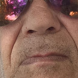 ������, �������, 66 ���