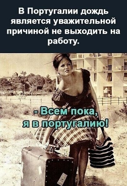   - 11  2024  15:50