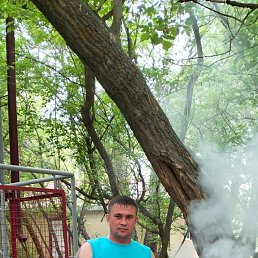 ������, 39 ���, ���������