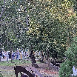 �����, �������, 51 ���