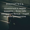 ���� �������, ������ - ��������� 6 ������ 2026 � ������ ������ ��������