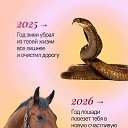 ���� ����, ������, 42 ���� - ��������� 30 ��� 2026