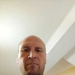 �����, 42 ����, ���������