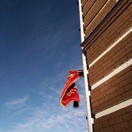 ������, �������, 55 ���