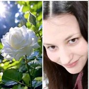 ����, , �����-���������