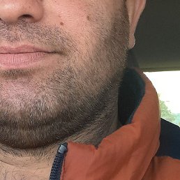 ������, ����, 41 ���