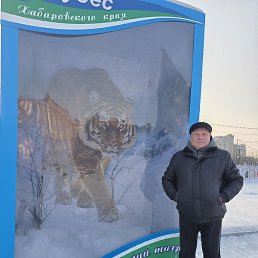 ����, ���������, 65 ���