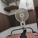 ���� Suresh, ���-����, 28 ��� - ��������� 18 ��� 2026 � ������ ���� ����������