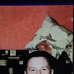 , 32, 