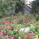 ���� �����, ������, 52 ���� - ��������� 2 ���� 2025 � ������ ���� ����������