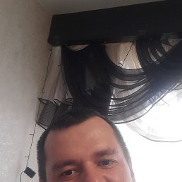 , 41, 