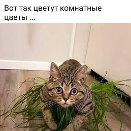 �������, �����-���������, 47 ���
