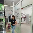 ���� �����, ������, 62 ���� - ��������� 8 ���� 2026 � ������ ���� ����������