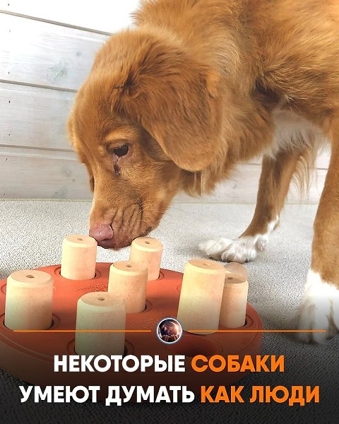 e c, o coa coco e oo aoa aa pe, o  ppoa  o ...