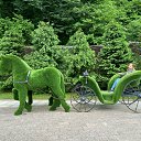 ���� �����, ������, 43 ���� - ��������� 3 ��� 2026 � ������ ���� ����������