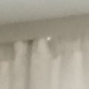 �����, 56 ���, ������������