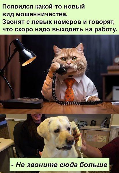 ������ ��������� :D - 8 ������ 2024 � 11:55