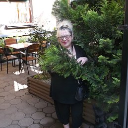 ���� ������, ������� - ��������� 8 ������ 2026