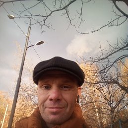 ����, 44 ����, ���������