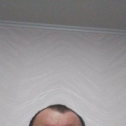 ����, 48 ���, ���