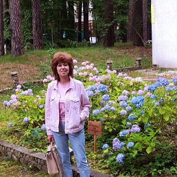 ���� �����, ������������, 61 ��� - ��������� 18 ������� 2026