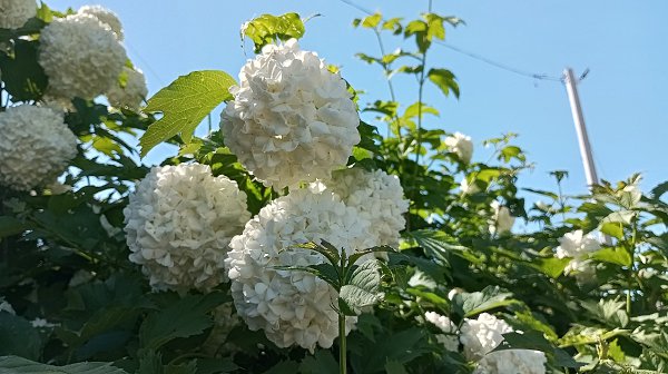 ������ ������� - 13 ���� 2026 � 04:46 - 2