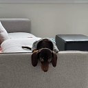 ���� ��������, ������, 56 ��� - ��������� 18 ���� 2025 � ������ ���� ����������