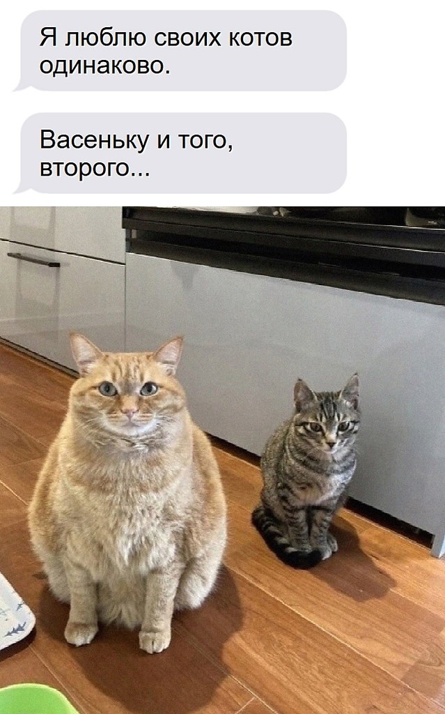  - 26  2025  11:54