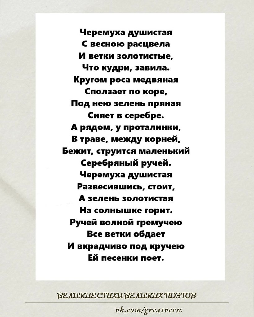 Сергей Есенин — «Черемуха душистая».Это одно из самых узнаваемых и любимых стихотворений Есенина, ...