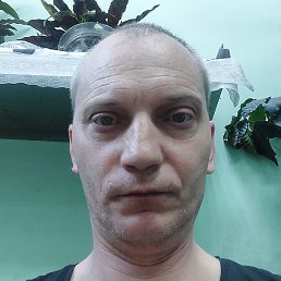 ������, ������, 45 ���