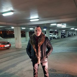 ���� �����, ������ - ��������� 3 ����� 2026