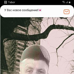 , 39, 