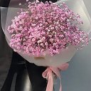 ���� �� ��������, ������, 49 ��� - ��������� 25 ���� 2025 � ������ ���� ����������