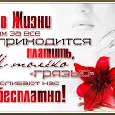 ���� �������, �������� - ��������� 3 ���� 2026 � ������ ������ ��������