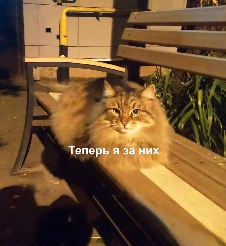  . - 2
