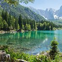 ���� Gerom, ������� - ��������� 25 ���� 2026 � ������ ��������