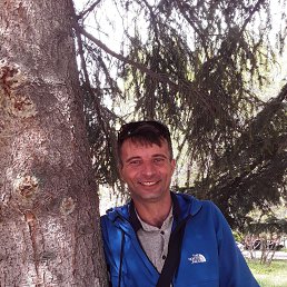 ������, 45 ���, ������