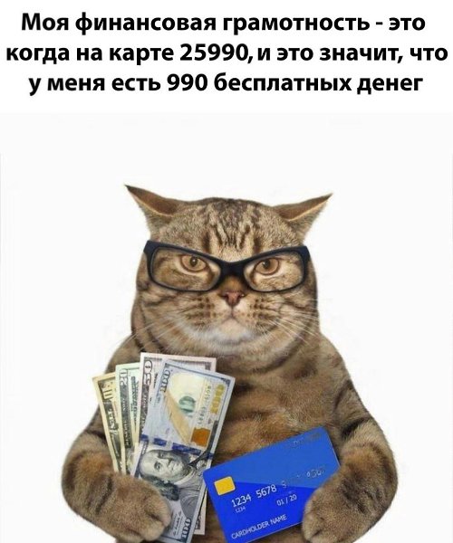 Бесплатные деньги - это когда привезли заказик из сбермаркета, а там на сыре в уголке плесень, а ...