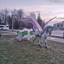 ���� �����, ������, 54 ���� - ��������� 24 ������� 2023 � ������ ���� ����������